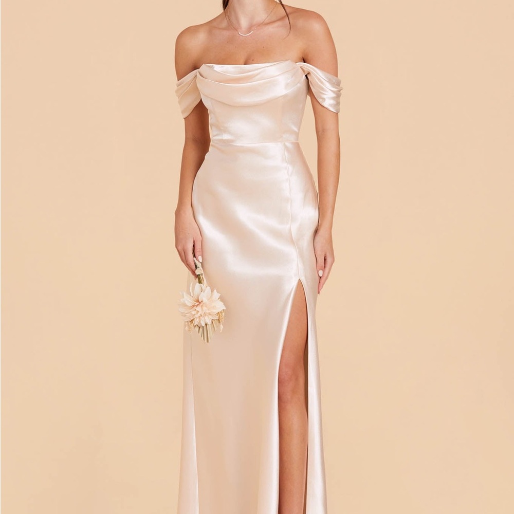 Birdy Grey Shiny Satin Champagne Mia Dress Size M